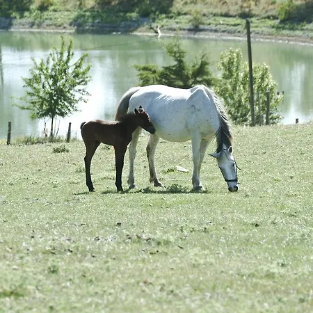 Il Daino Alloggio per agriturismo *