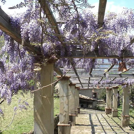 Il Daino San Piero Patti