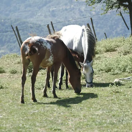 Alloggio per agriturismo Il Daino San Piero Patti