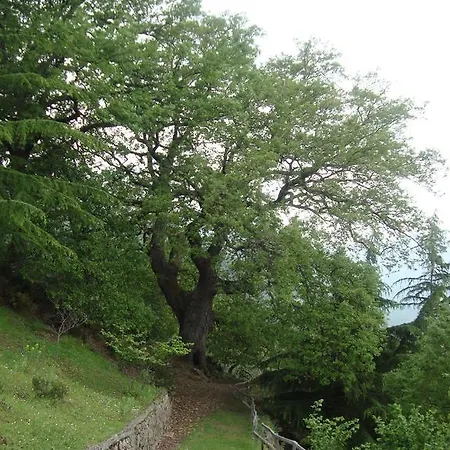 Alloggio per agriturismo Il Daino *