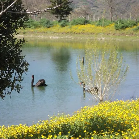 Il Daino San Piero Patti