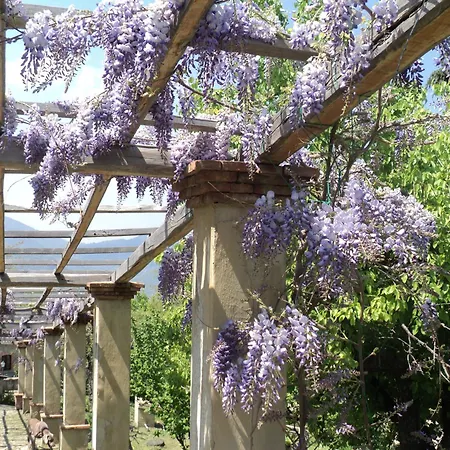 Il Daino Agroturismo San Piero Patti