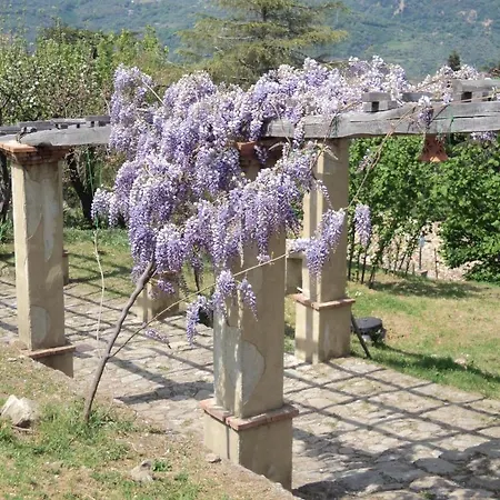 Il Daino