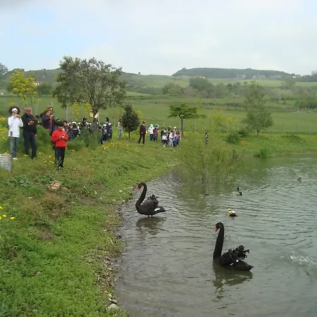 Agroturismo Il Daino San Piero Patti