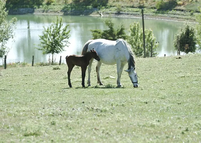 Il Daino 팜스테이 *
