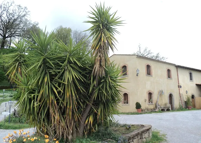 Il Daino 팜스테이 산 피에로 파티