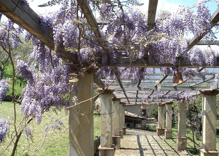 Il Daino 산 피에로 파티