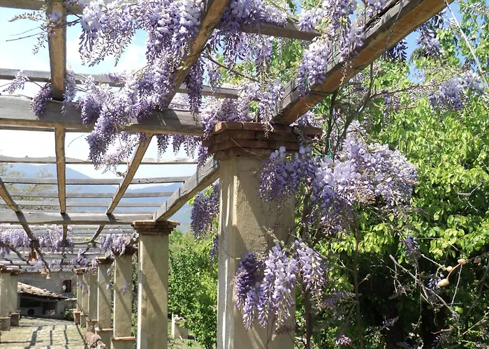 Il Daino 팜스테이 산 피에로 파티