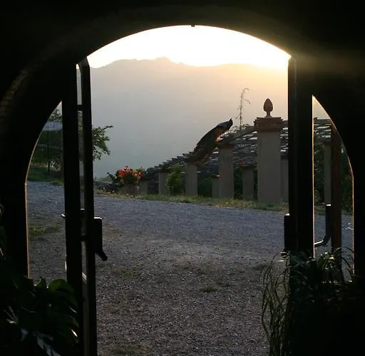 팜스테이 Il Daino *