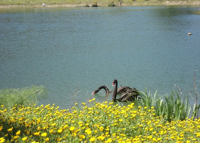 팜스테이 Il Daino *