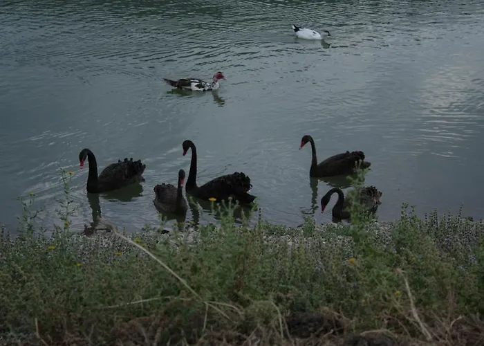 팜스테이 Il Daino *