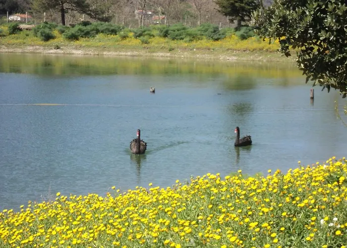 Il Daino * 산 피에로 파티